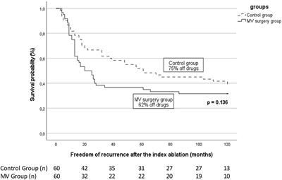 Long-term clinical outcome of atrial fibrillation ablation in patients with history of mitral valve surgery